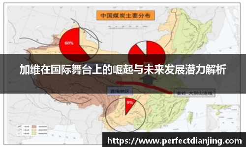 加维在国际舞台上的崛起与未来发展潜力解析